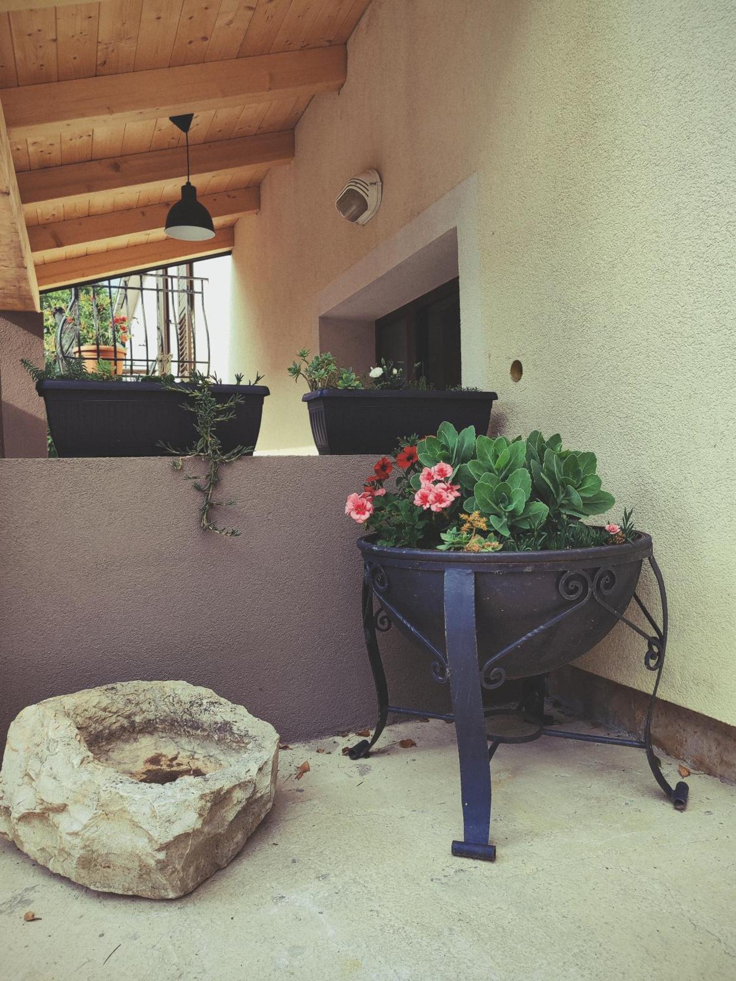 Villa Judita Rovinj Extérieur photo